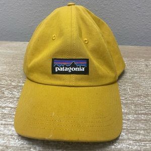 Patagonia hat